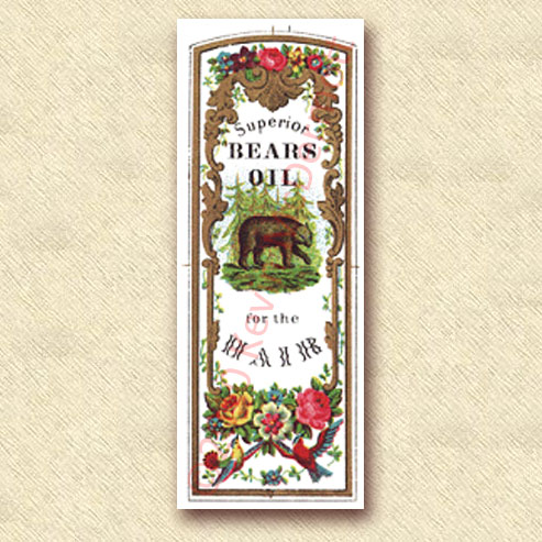full-color label “Superior Bears Oil for the Hair.”